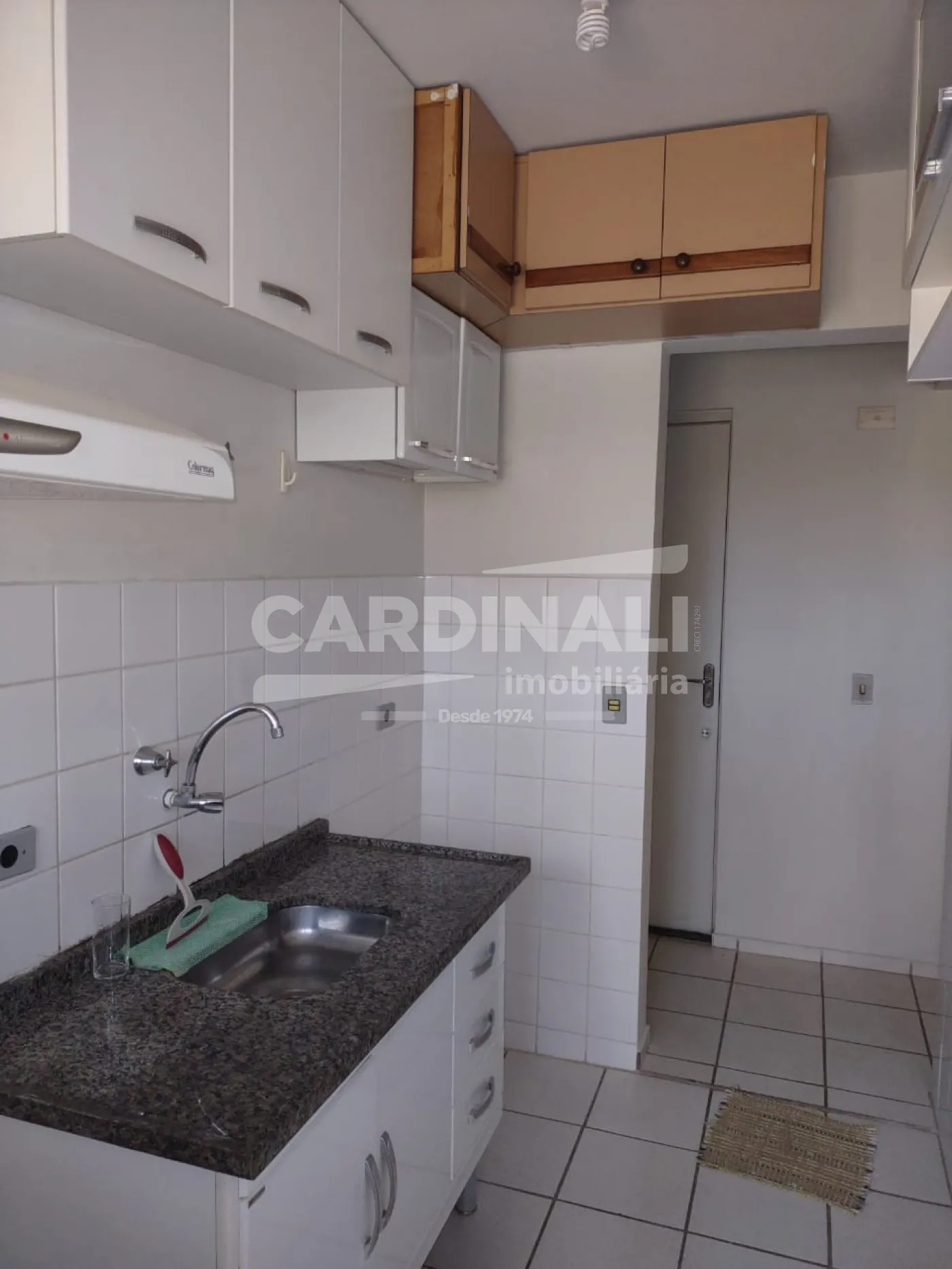 Apartamento / Padr&atilde;o em Campinas Alugar por R$850,00