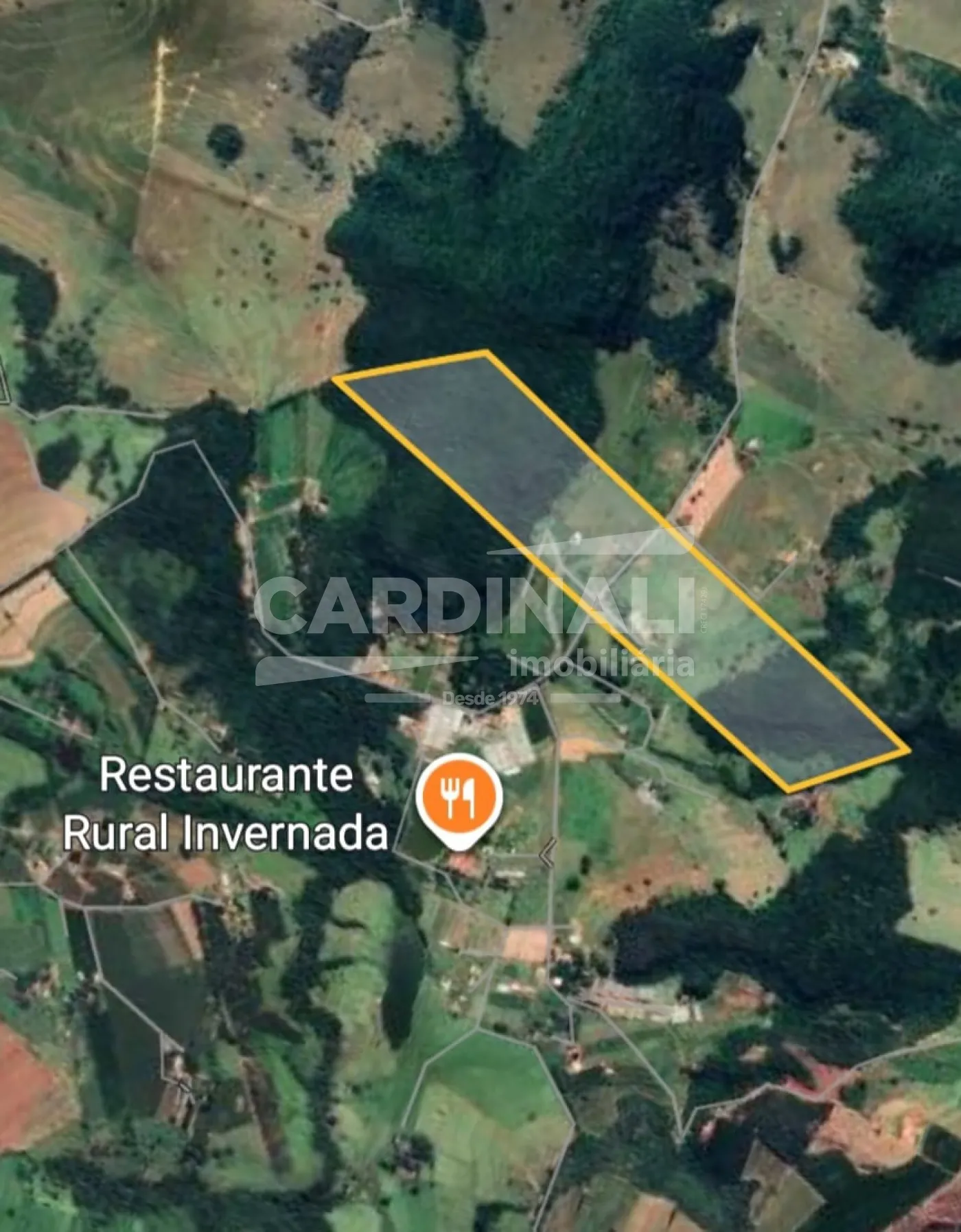 Rural / Fazenda em S&atilde;o Carlos 