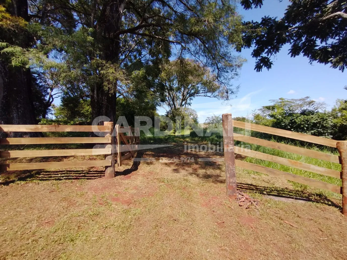 Rural / Padr&atilde;o em S&atilde;o Carlos 