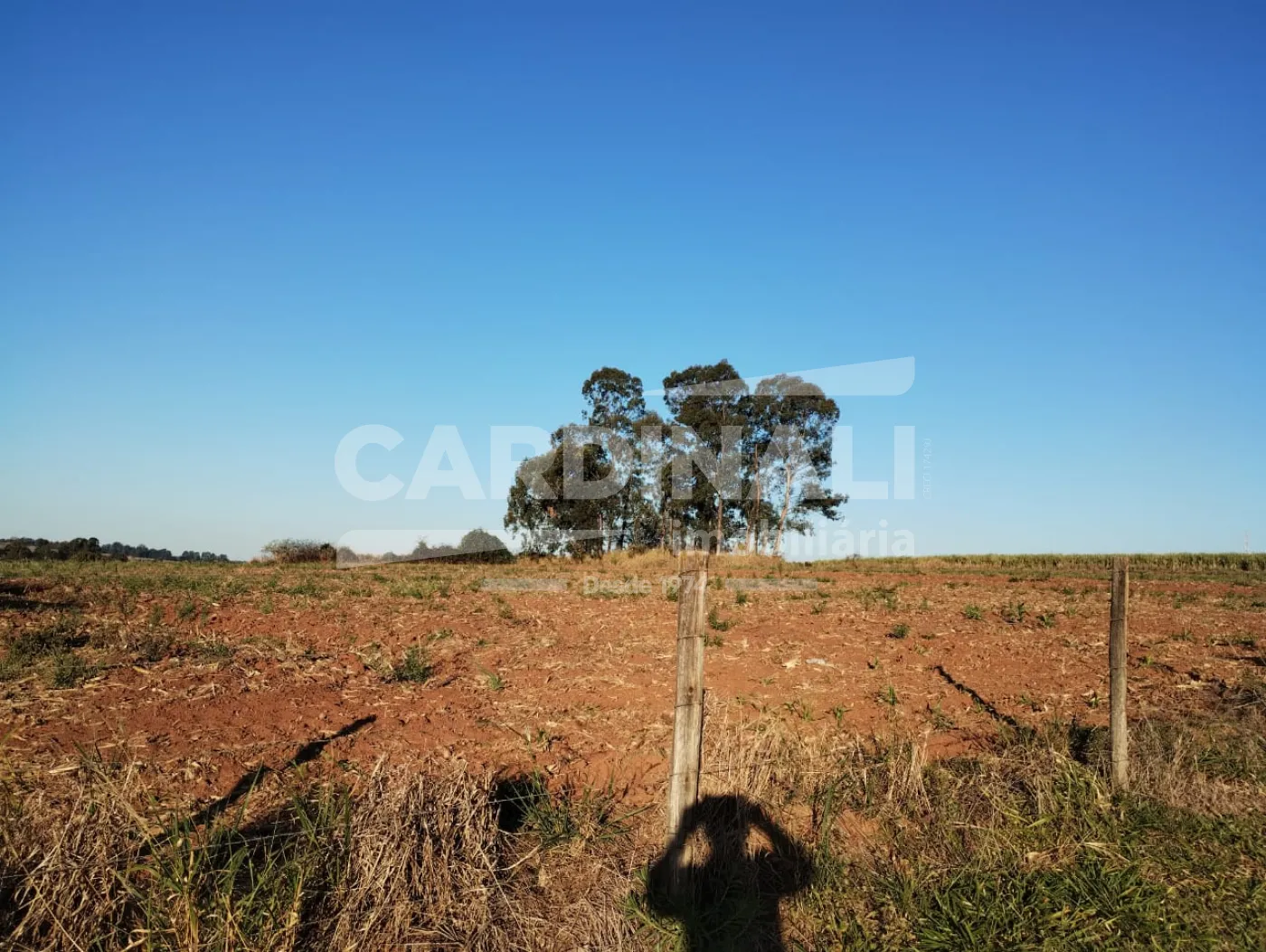Rural / Padr&atilde;o em S&atilde;o Carlos 
