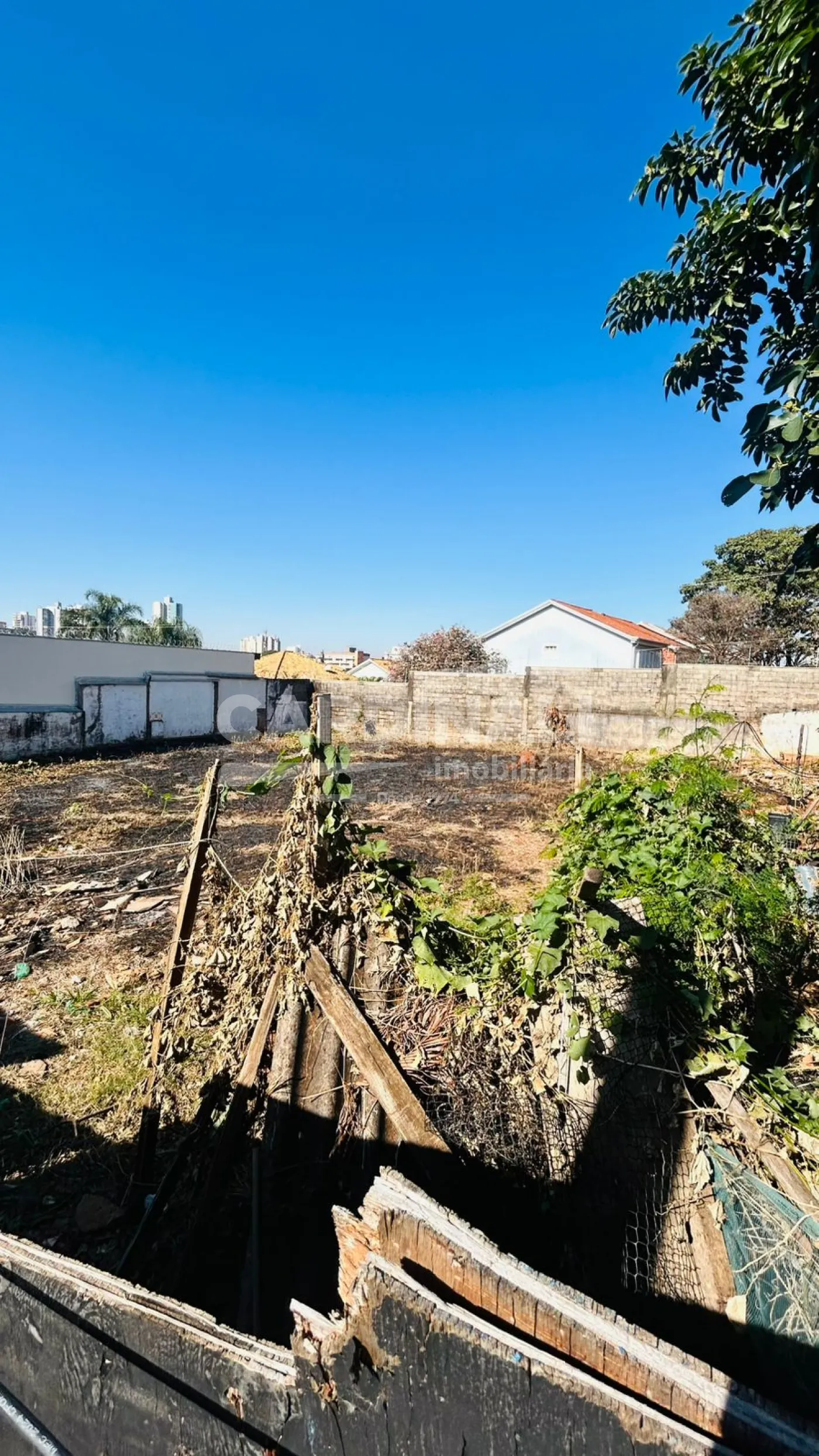 Terreno / Padr&atilde;o em S&atilde;o Carlos 