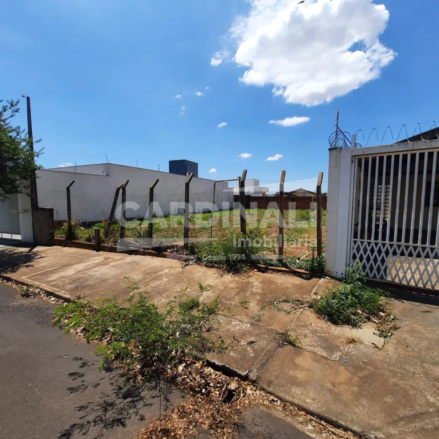 Terreno / Padr&atilde;o em S&atilde;o Carlos 