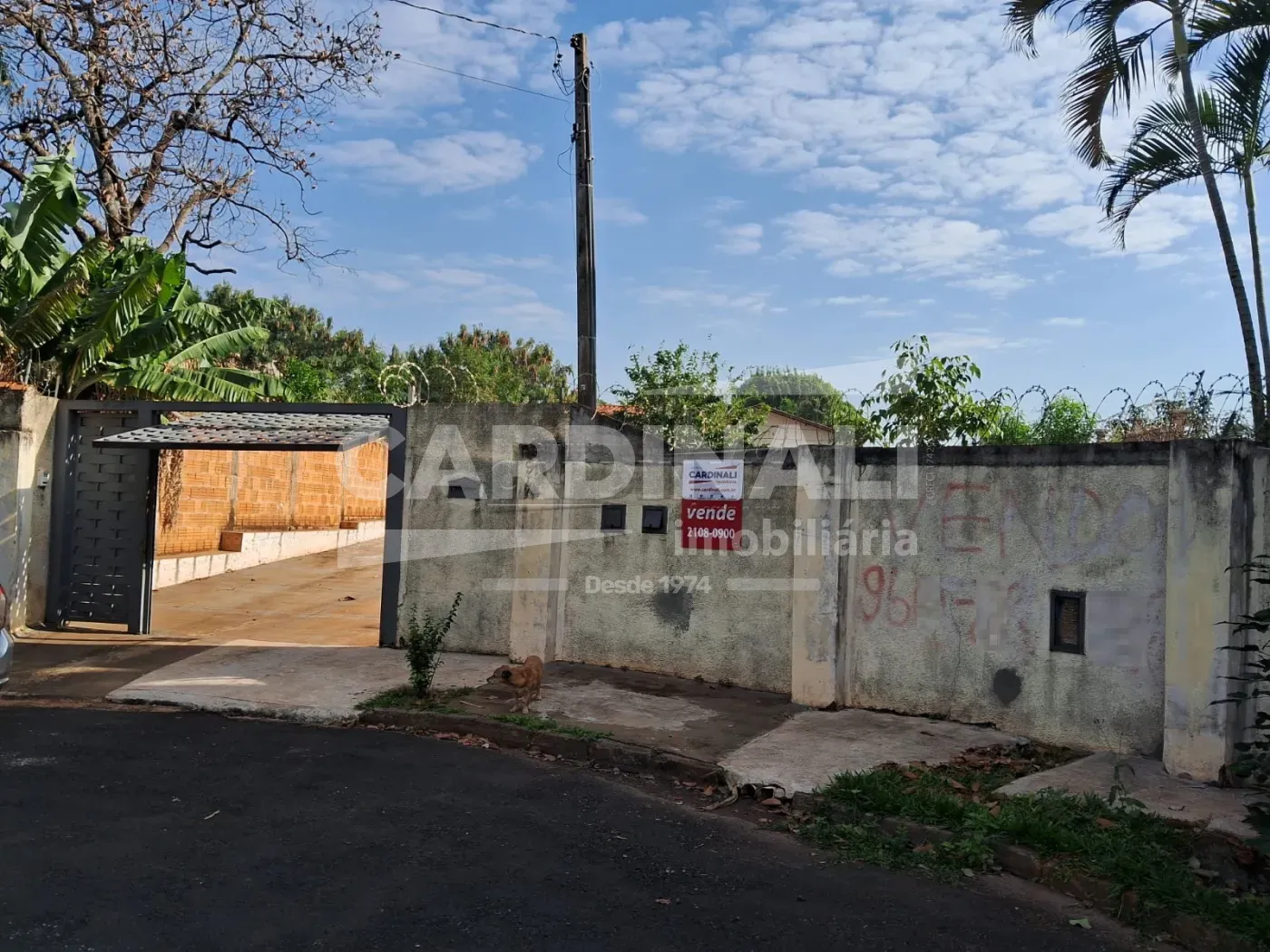 Terreno / Padr&atilde;o em Araraquara , Comprar por R$170.000,00