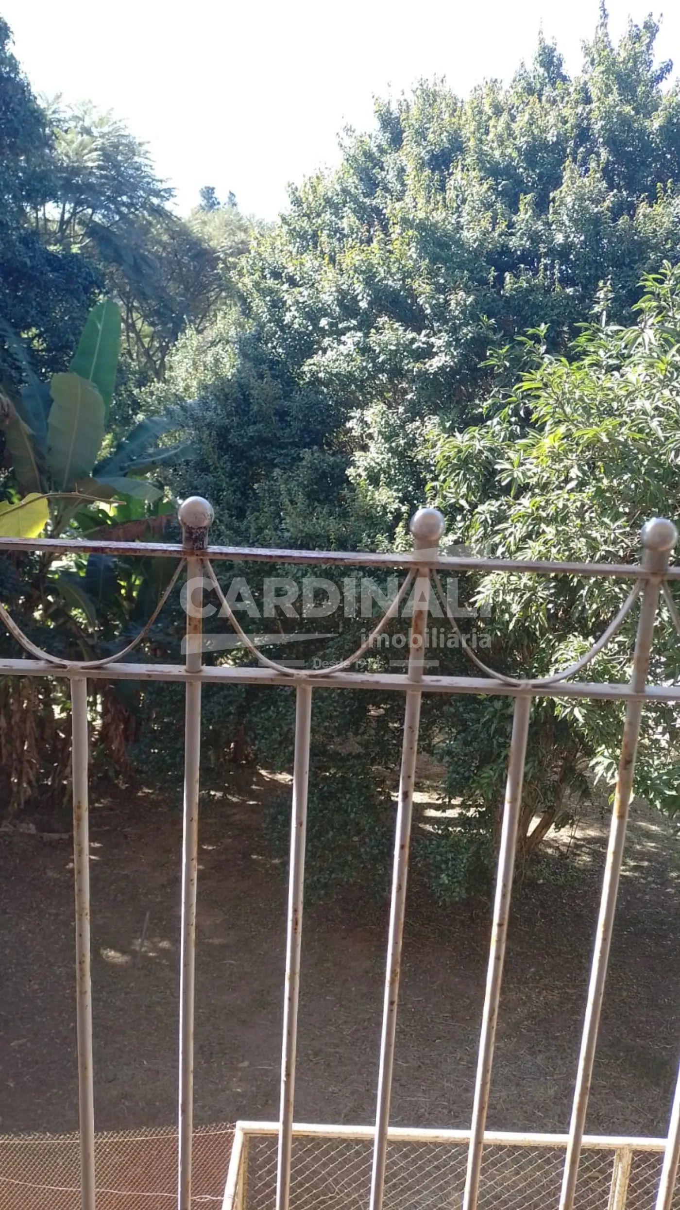 Casa / Padr&atilde;o em S&atilde;o Carlos 