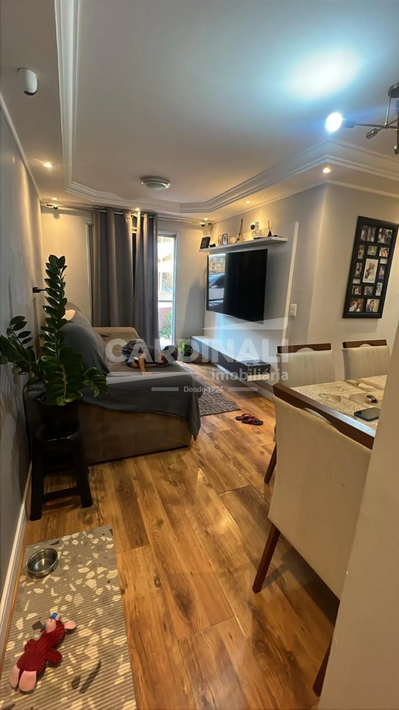 Apartamento / Padr&atilde;o em Campinas 