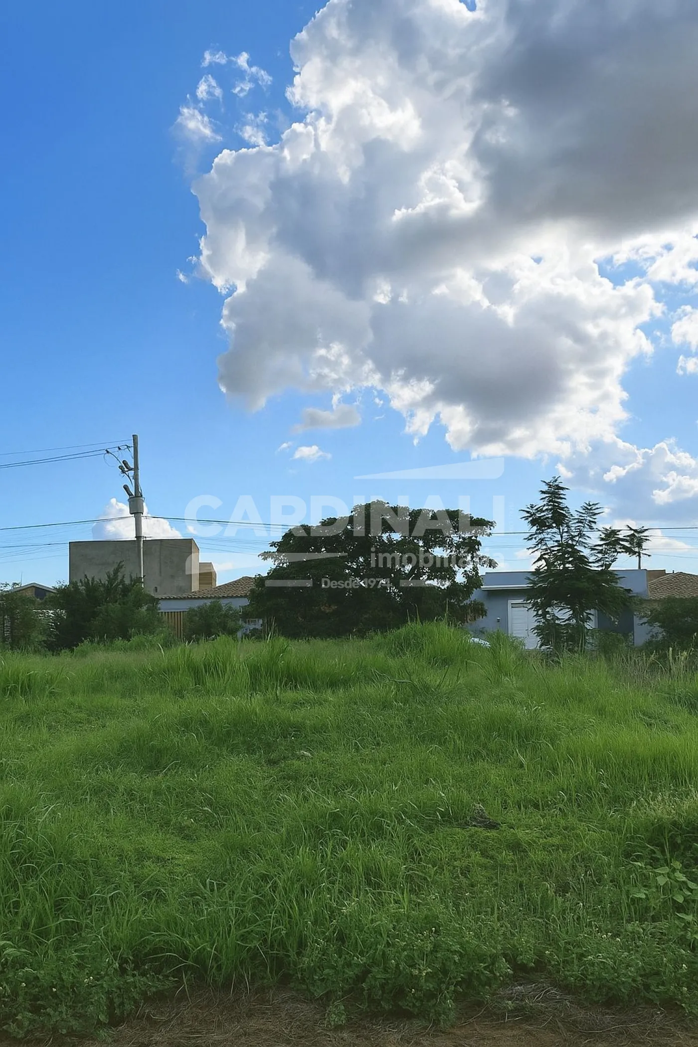 Terreno / Lote em Ribeir&atilde;o Preto , Comprar por R$260.000,00