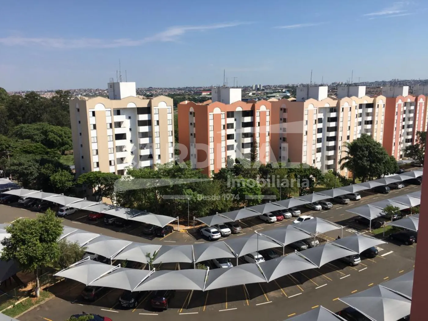 Apartamento / Padr&atilde;o em Campinas 