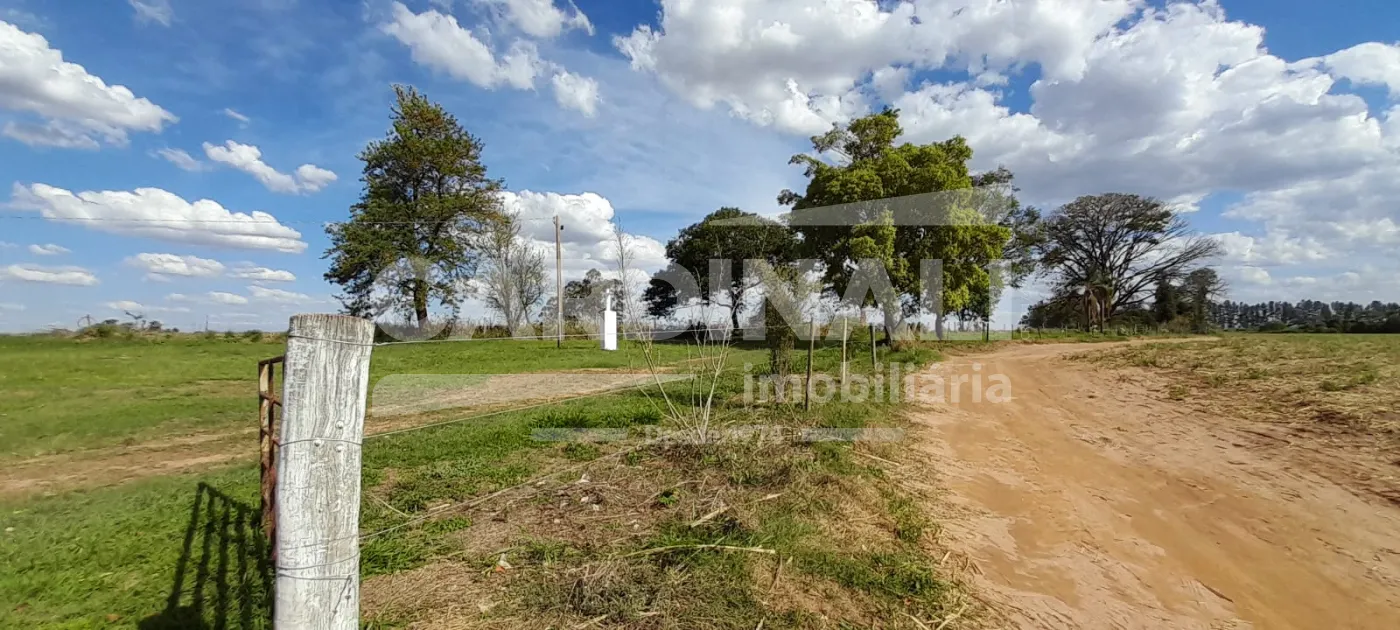 Rural / S&iacute;tio em Descalvado 