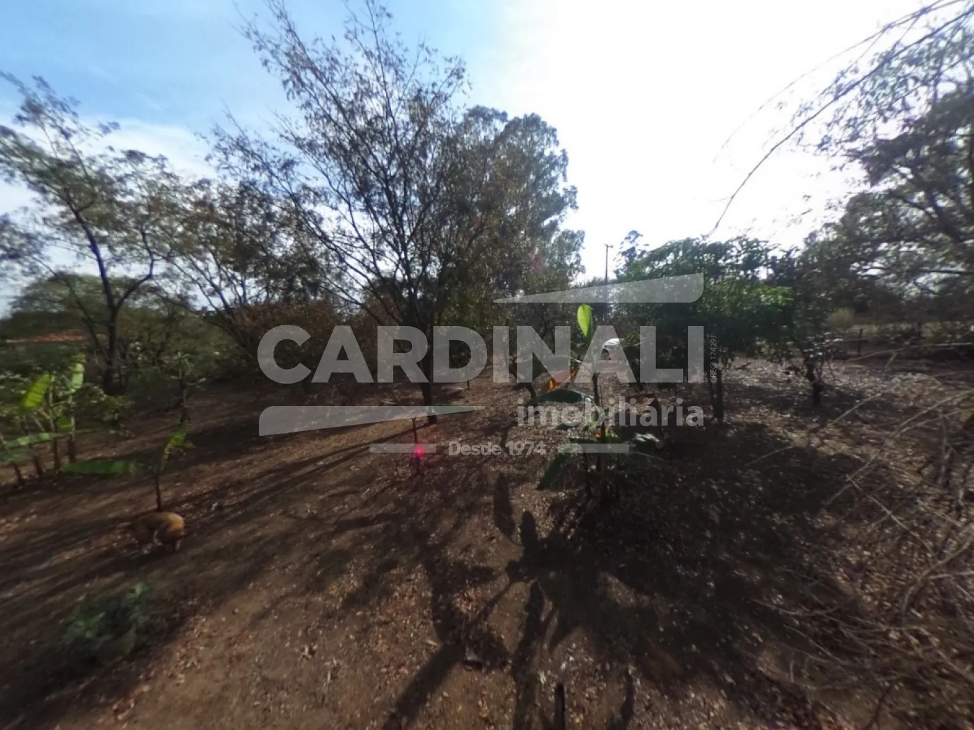 Comprar Rural / Ch&aacute;cara em S&atilde;o Carlos R$ 520.000,00 - Foto 12