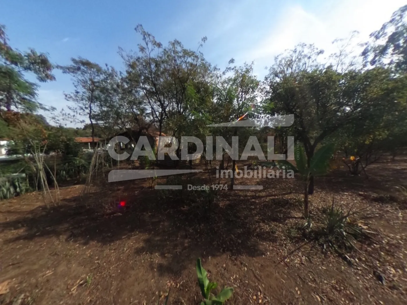 Comprar Rural / Ch&aacute;cara em S&atilde;o Carlos R$ 520.000,00 - Foto 13