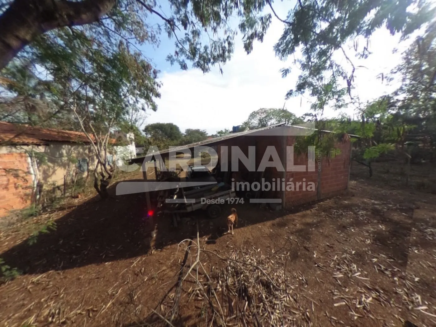 Comprar Rural / Ch&aacute;cara em S&atilde;o Carlos R$ 520.000,00 - Foto 14