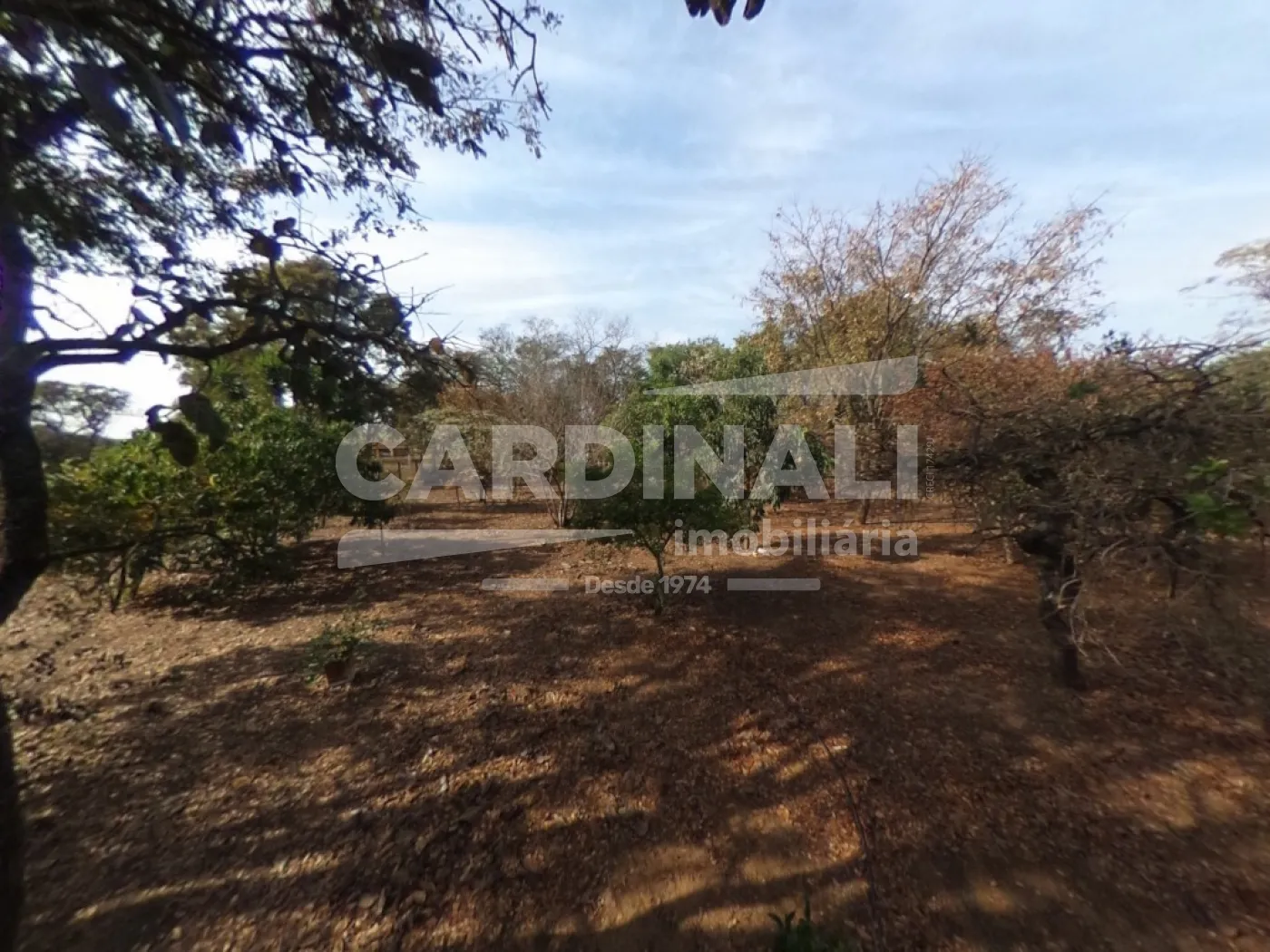 Comprar Rural / Ch&aacute;cara em S&atilde;o Carlos R$ 520.000,00 - Foto 15