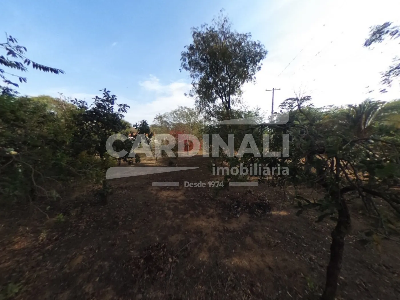 Comprar Rural / Ch&aacute;cara em S&atilde;o Carlos R$ 520.000,00 - Foto 16