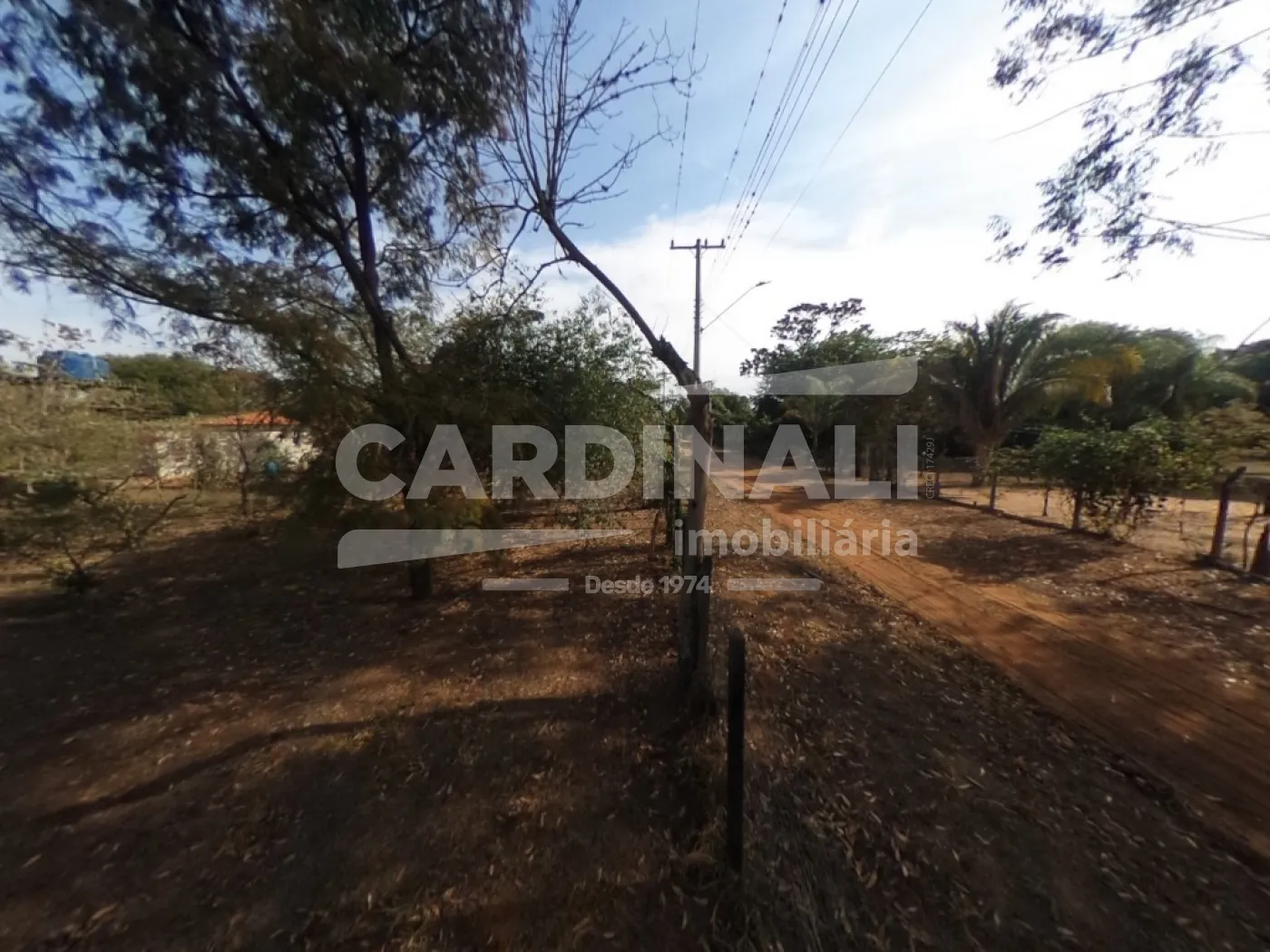 Comprar Rural / Ch&aacute;cara em S&atilde;o Carlos R$ 520.000,00 - Foto 17