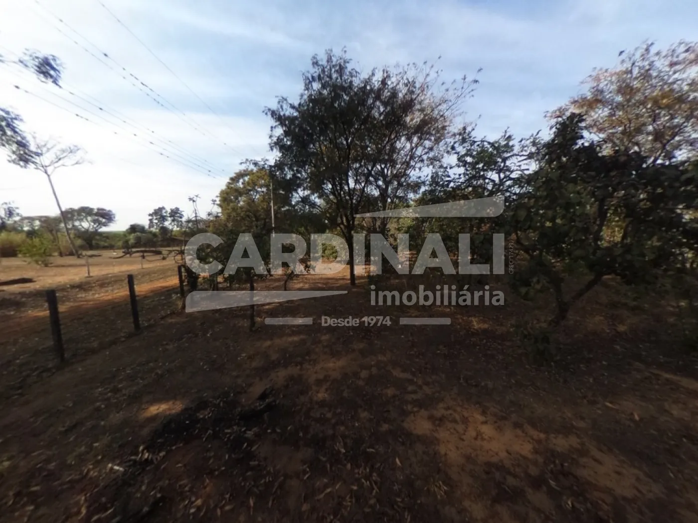 Comprar Rural / Ch&aacute;cara em S&atilde;o Carlos R$ 520.000,00 - Foto 18