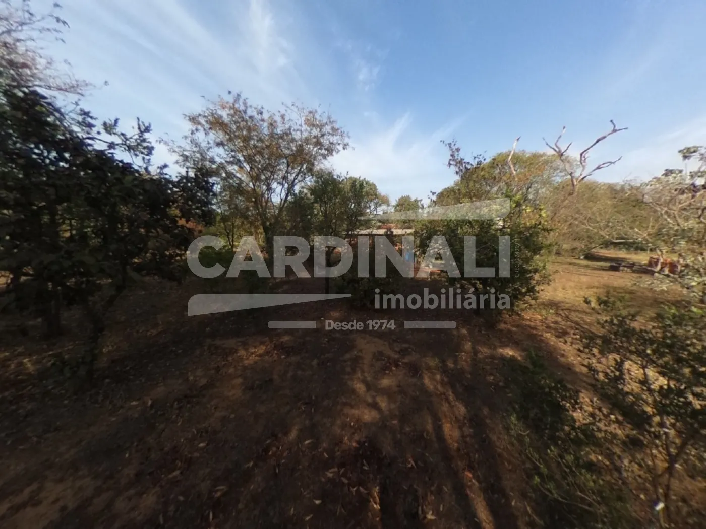 Comprar Rural / Ch&aacute;cara em S&atilde;o Carlos R$ 520.000,00 - Foto 19