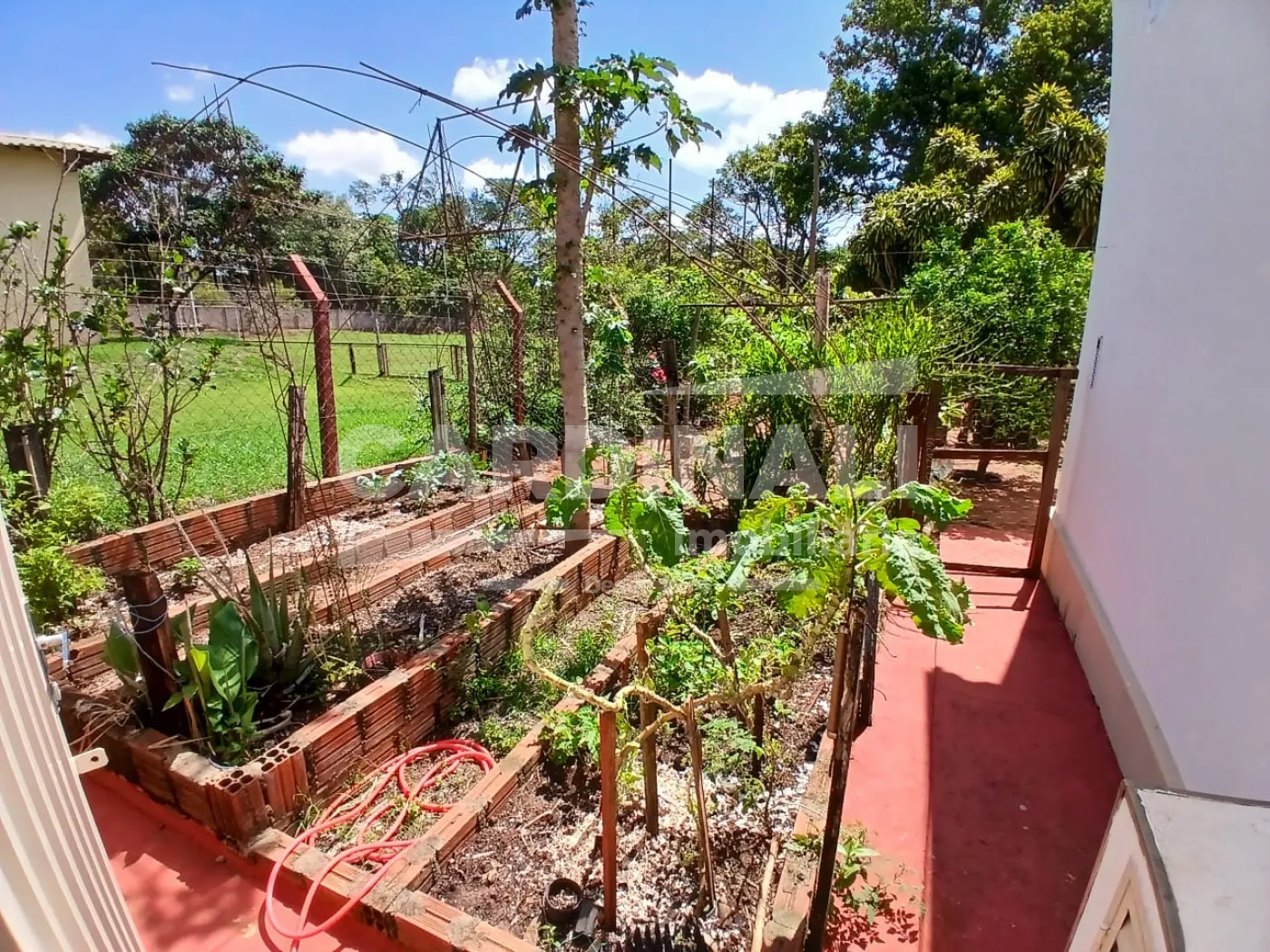 Rural / Ch&aacute;cara em S&atilde;o Carlos 