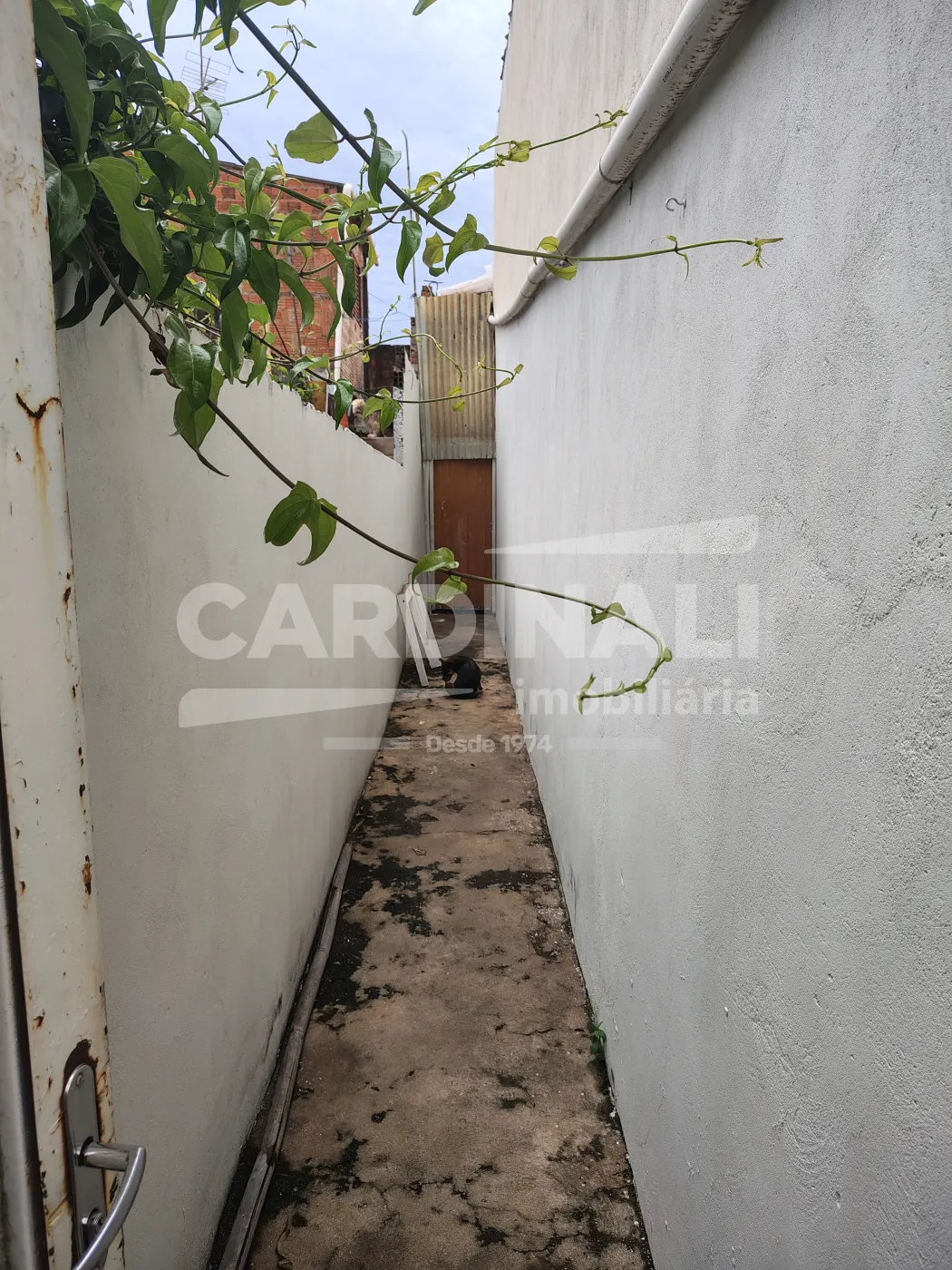 Apartamento / Kitchnet em S&atilde;o Carlos Alugar por R$600,00