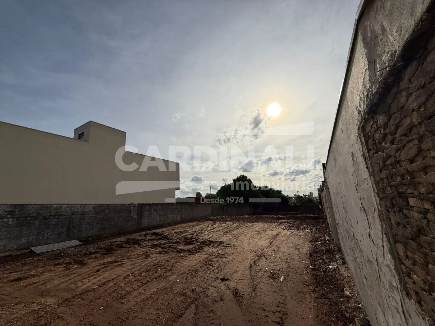 Comprar Terreno / Padr&atilde;o em S&atilde;o Carlos R$ 449.000,00 - Foto 7