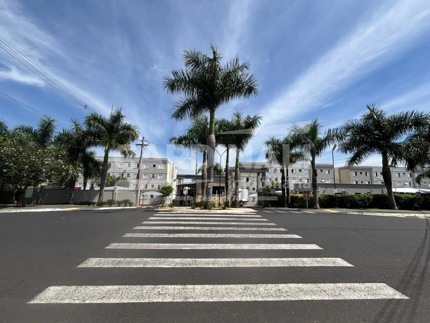 Alugar Apartamento / Padr&atilde;o em S&atilde;o Carlos R$ 1.278,00 - Foto 1