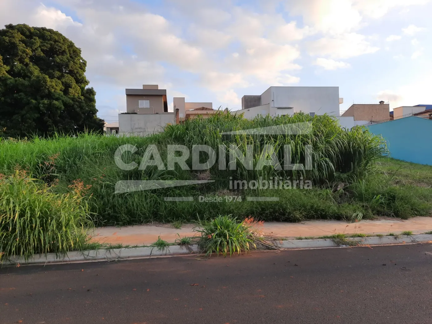 Comprar Terreno / Padr&atilde;o em S&atilde;o Carlos R$ 230.000,00 - Foto 2