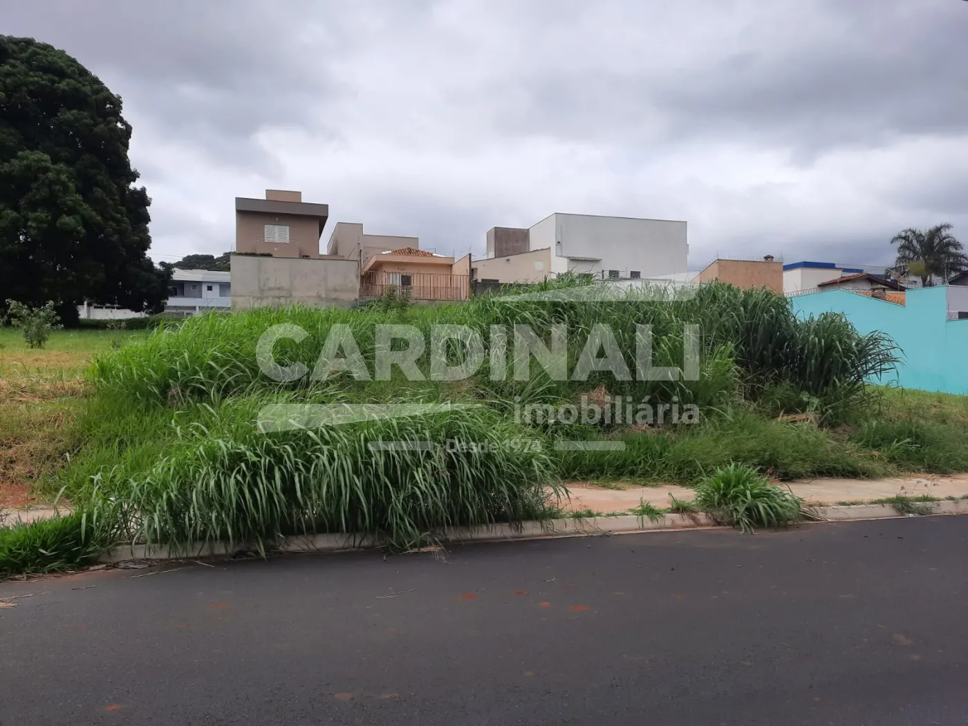 Comprar Terreno / Padr&atilde;o em S&atilde;o Carlos R$ 230.000,00 - Foto 3