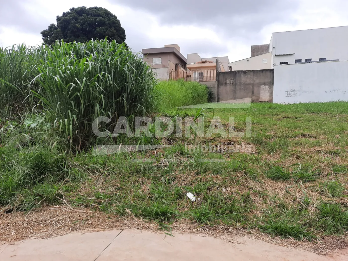 Comprar Terreno / Padr&atilde;o em S&atilde;o Carlos R$ 230.000,00 - Foto 6