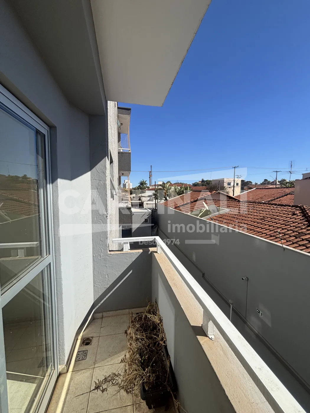 Alugar Apartamento / Padr&atilde;o em S&atilde;o Carlos R$ 1.400,00 - Foto 4