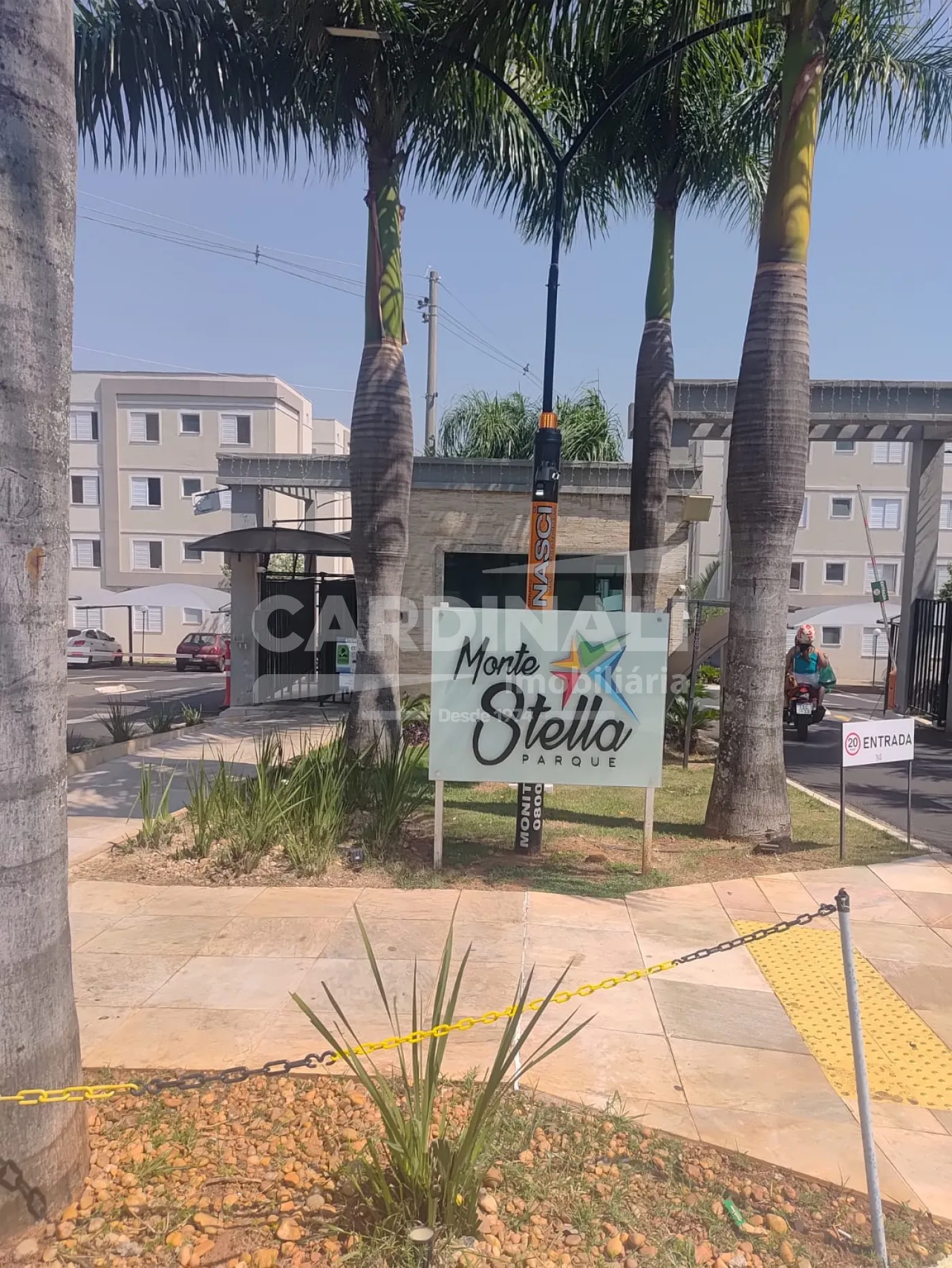 Alugar Apartamento / Padr&atilde;o em S&atilde;o Carlos R$ 1.000,00 - Foto 1