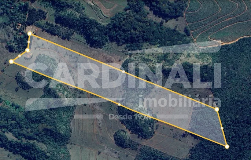 Comprar Rural / &Aacute;rea em Araraquara R$ 775.000,00 - Foto 5