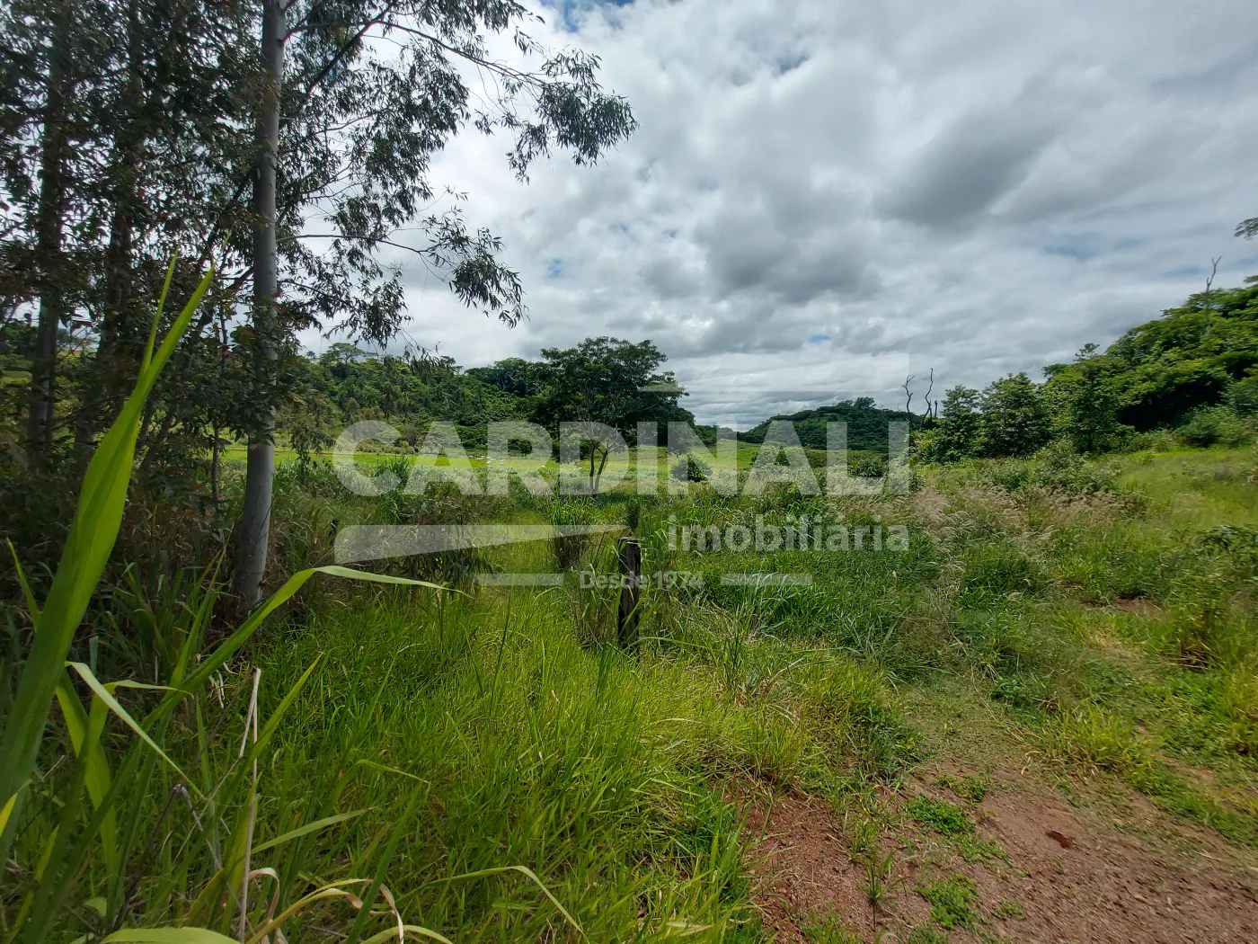 Comprar Rural / &Aacute;rea em Araraquara R$ 775.000,00 - Foto 4