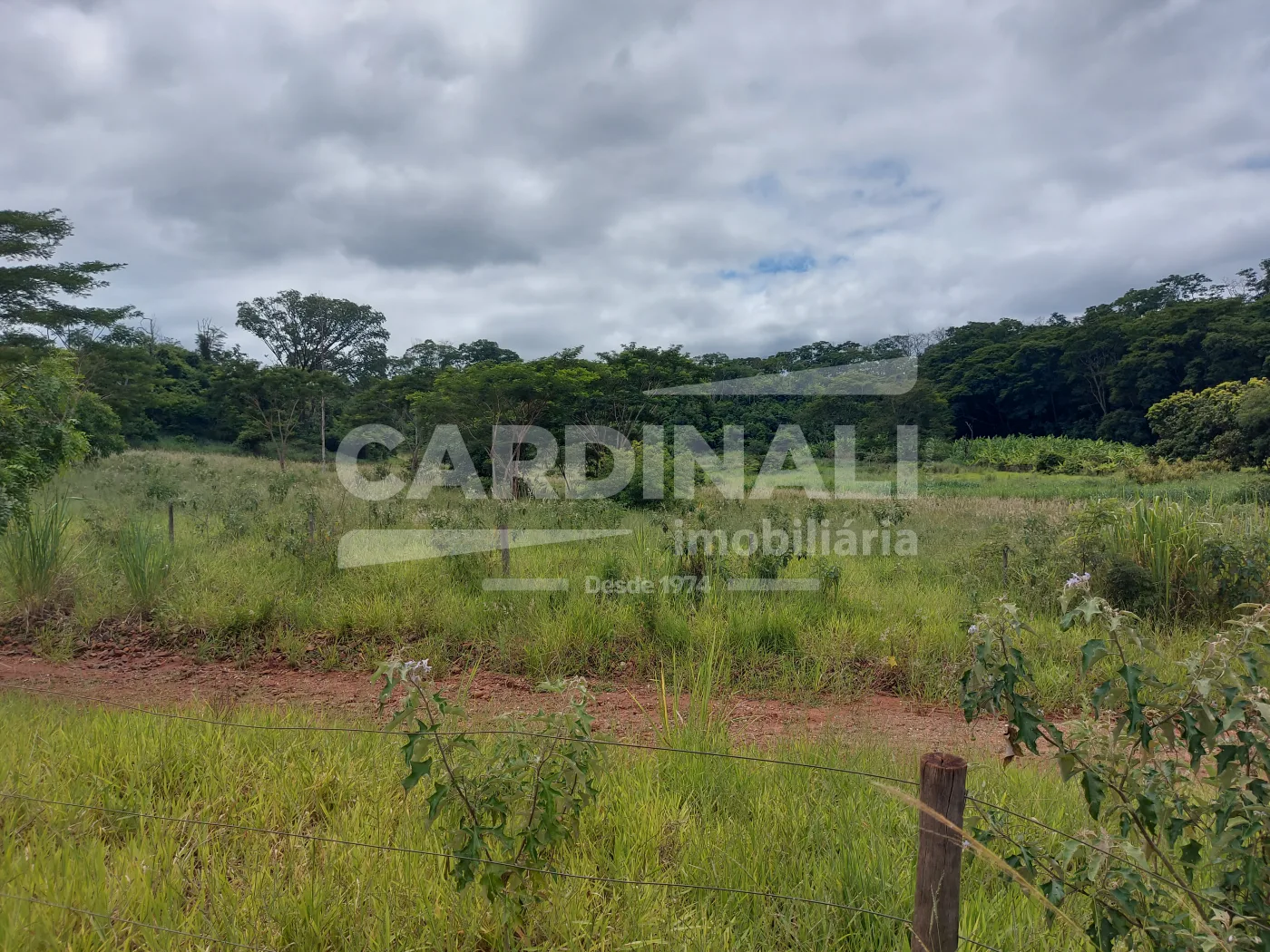 Comprar Rural / &Aacute;rea em Araraquara R$ 380.000,00 - Foto 2
