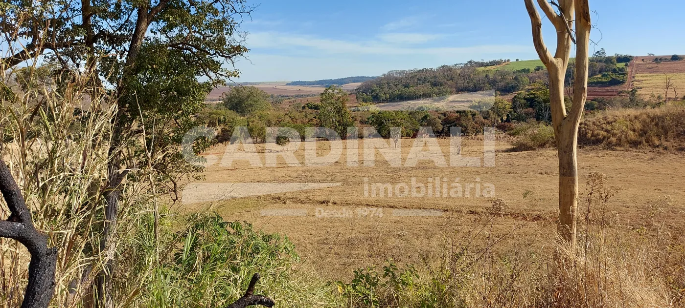 Comprar Rural / &Aacute;rea em Araraquara R$ 380.000,00 - Foto 4