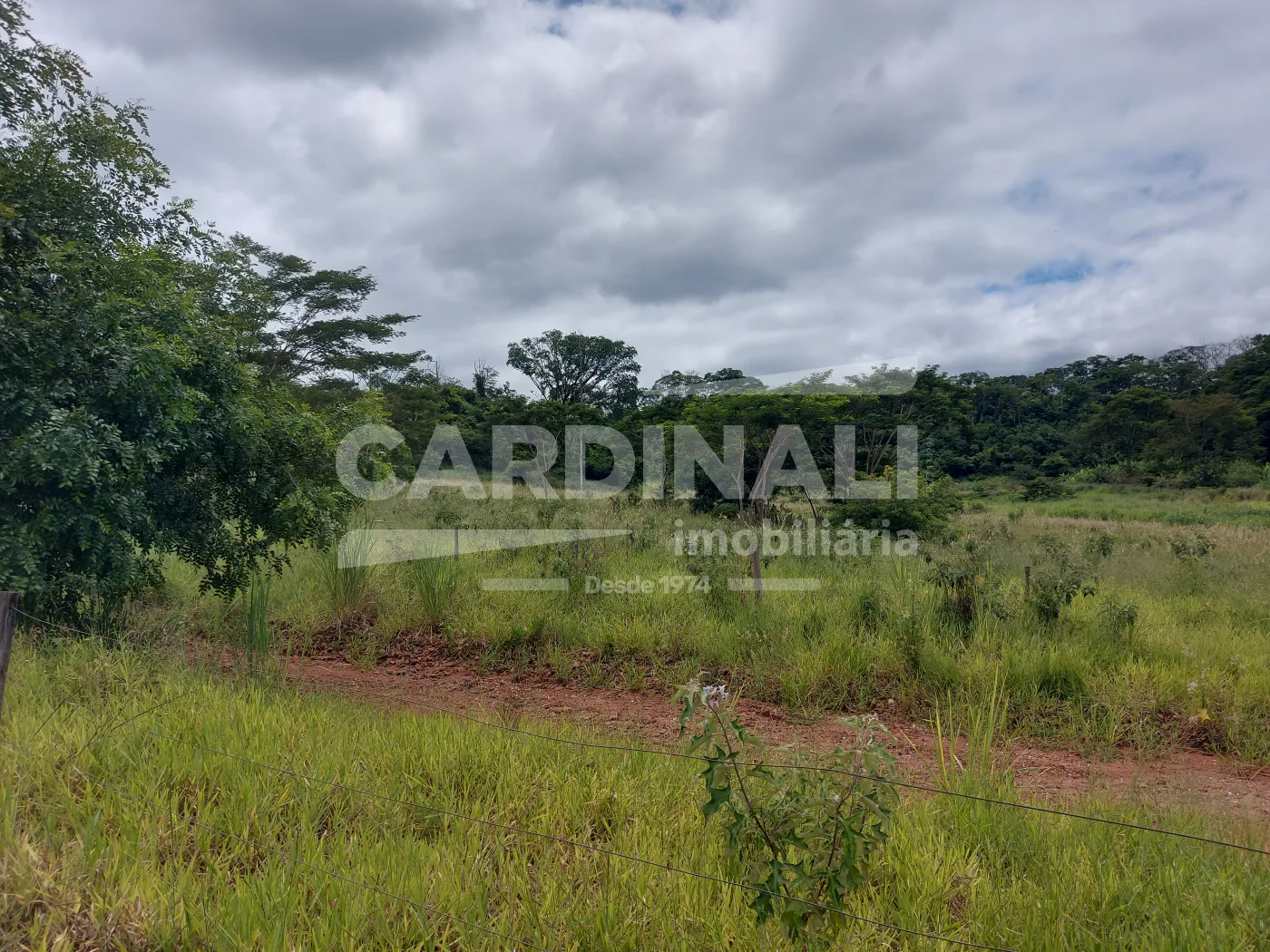 Comprar Rural / &Aacute;rea em Araraquara R$ 380.000,00 - Foto 1