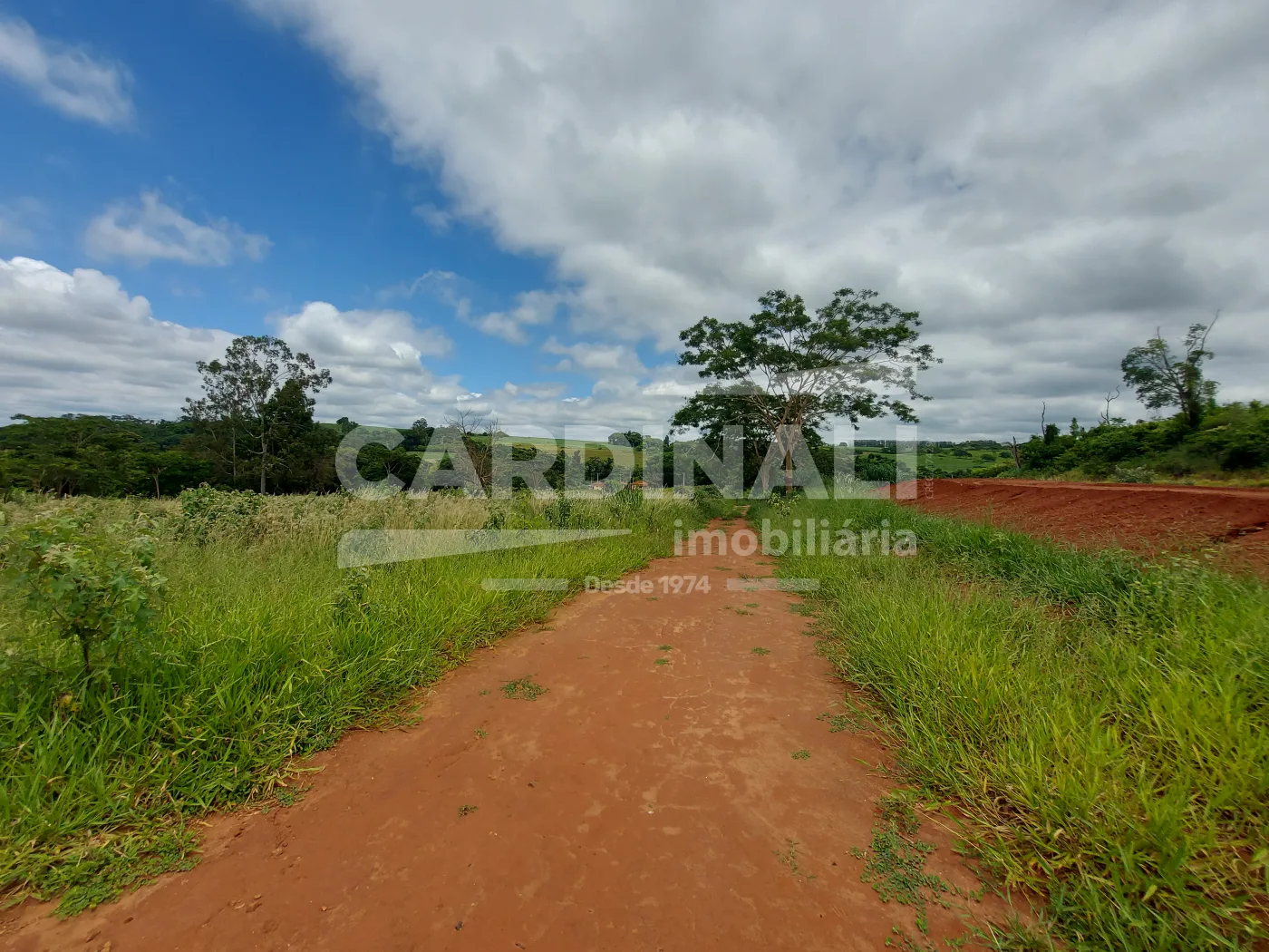 Comprar Rural / S&iacute;tio em Araraquara R$ 715.000,00 - Foto 6