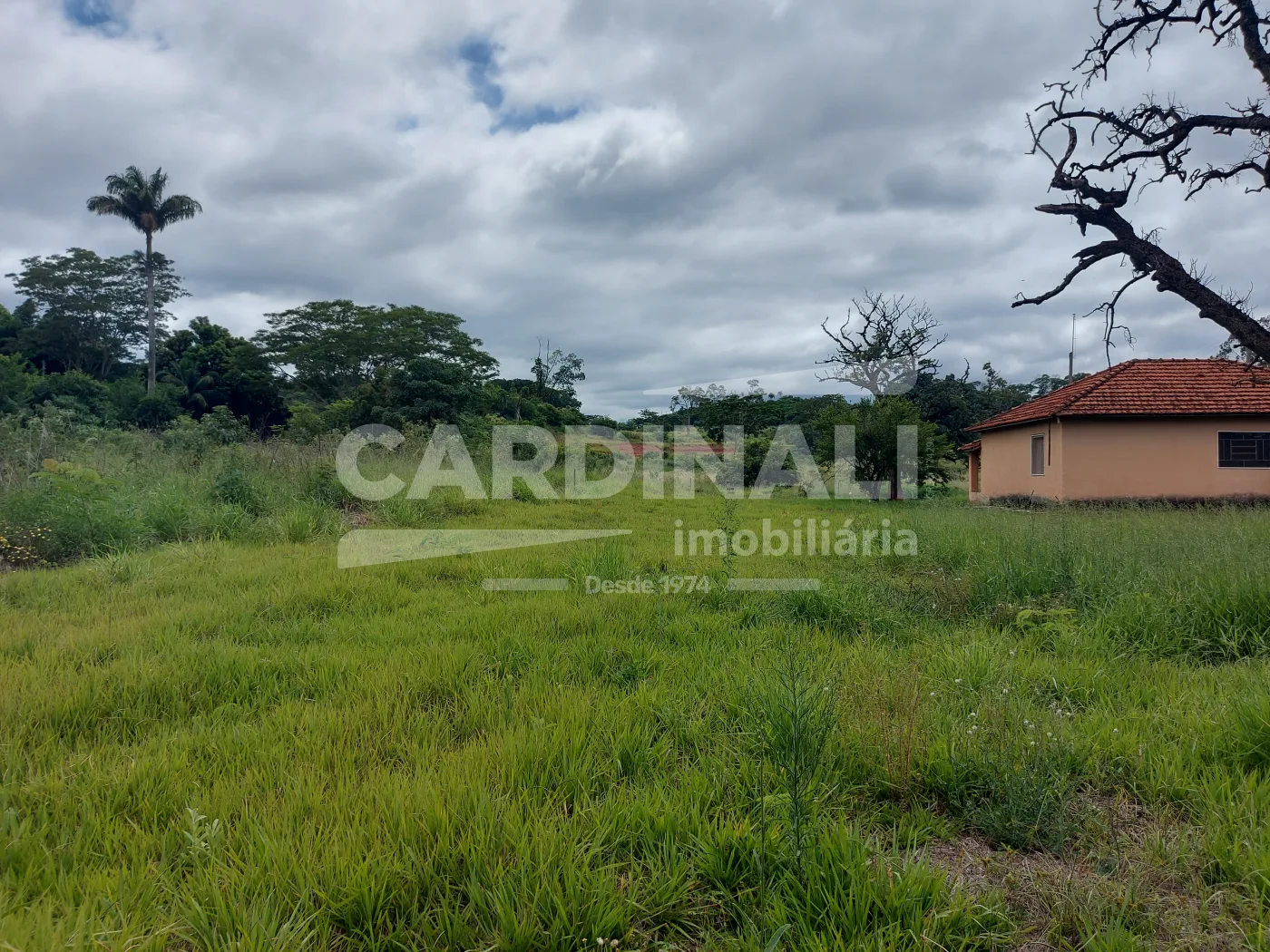 Comprar Rural / S&iacute;tio em Araraquara R$ 715.000,00 - Foto 4