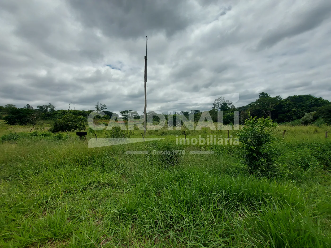 Comprar Rural / S&iacute;tio em Araraquara R$ 715.000,00 - Foto 8