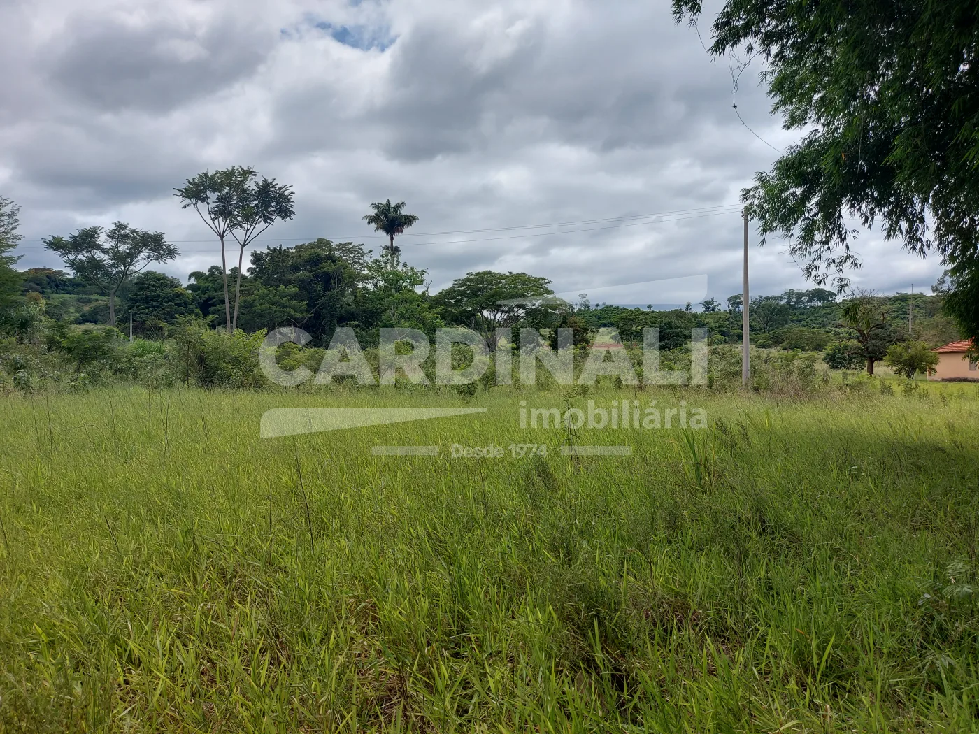 Comprar Rural / S&iacute;tio em Araraquara R$ 715.000,00 - Foto 7