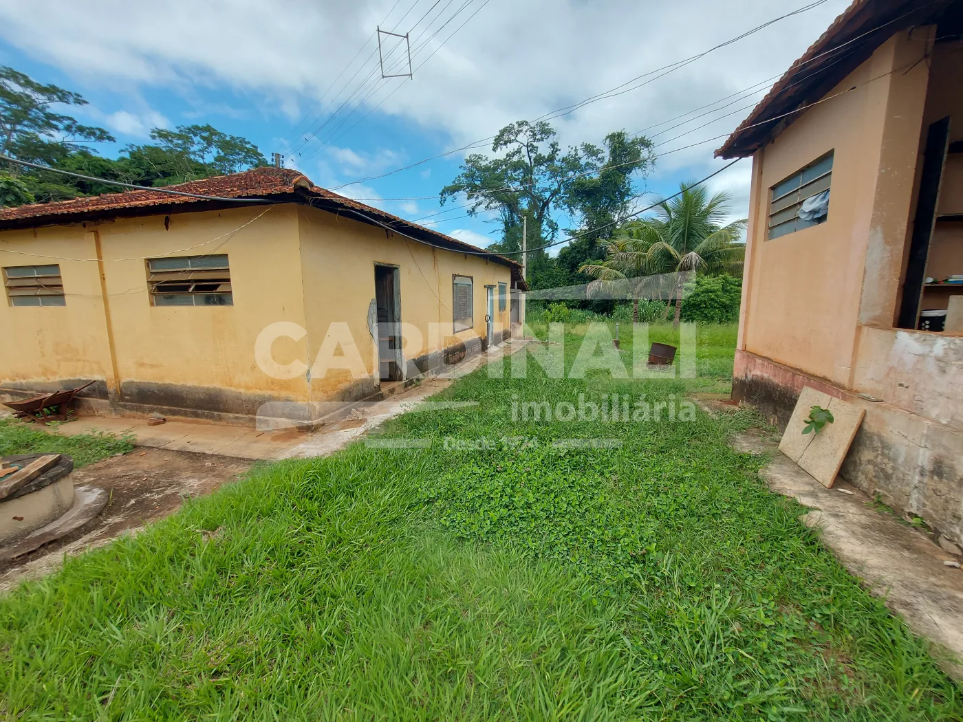 Comprar Rural / S&iacute;tio em Araraquara R$ 715.000,00 - Foto 3