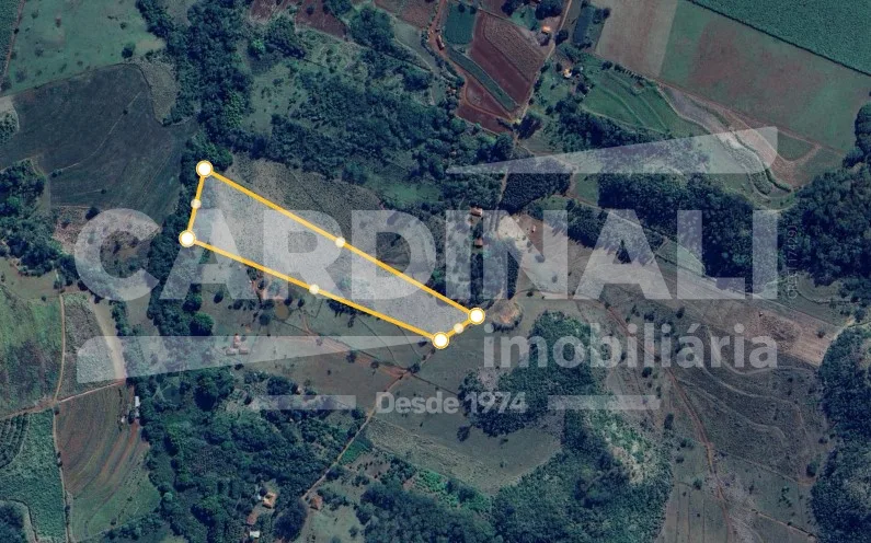 Comprar Rural / &Aacute;rea em Araraquara R$ 520.000,00 - Foto 3