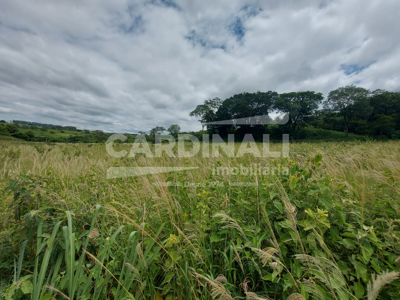 Comprar Rural / &Aacute;rea em Araraquara R$ 520.000,00 - Foto 1