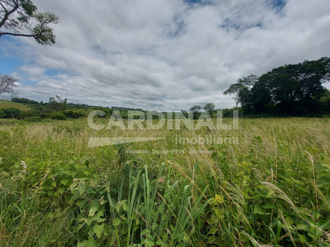 Comprar Rural / &Aacute;rea em Araraquara R$ 520.000,00 - Foto 2