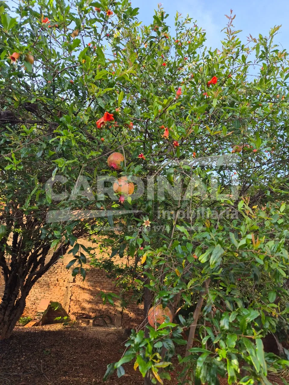 Comprar Casa / Padr&atilde;o em Araraquara R$ 310.000,00 - Foto 19