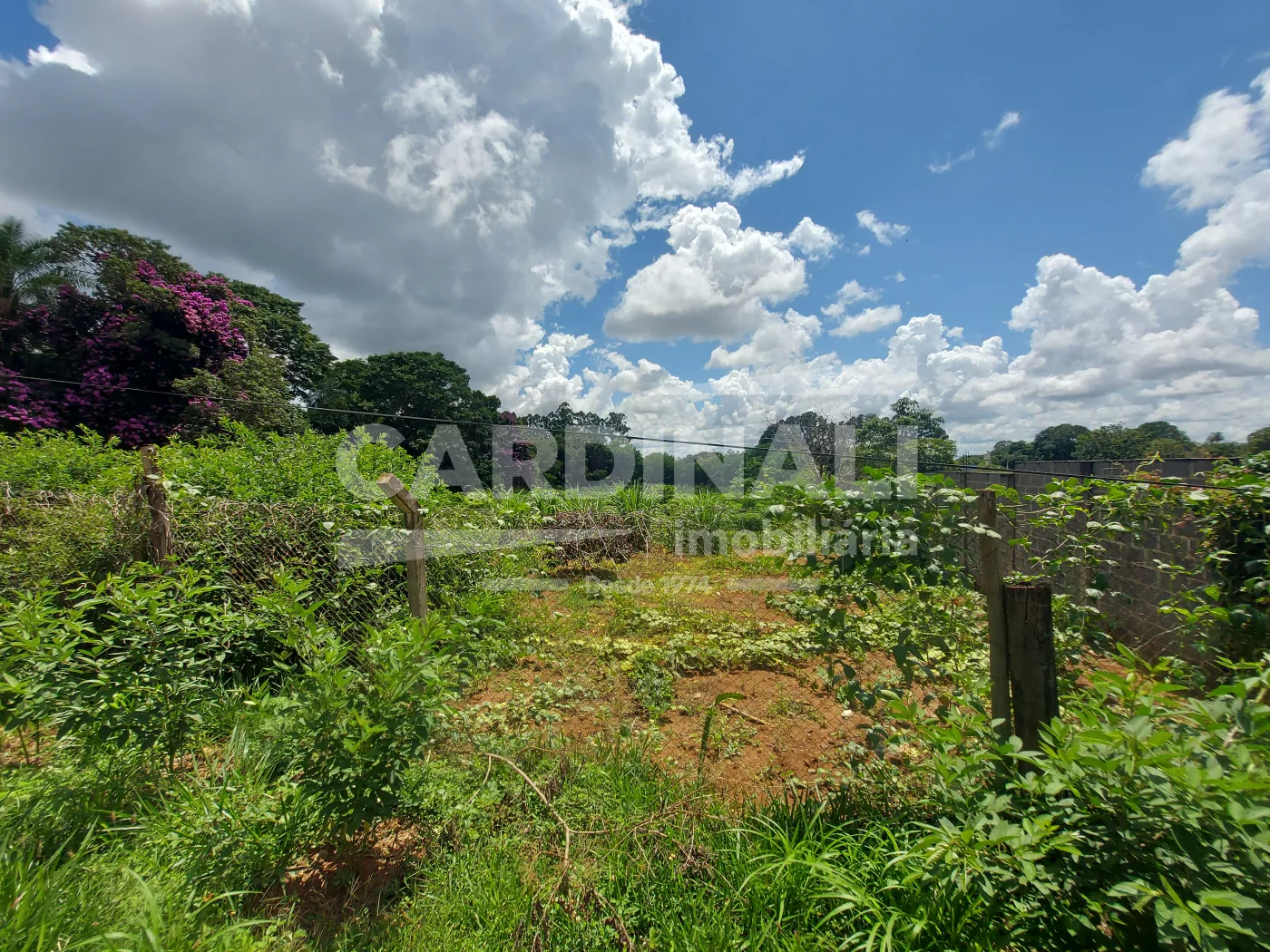 Comprar Terreno / &Aacute;rea em Araraquara R$ 425.000,00 - Foto 2