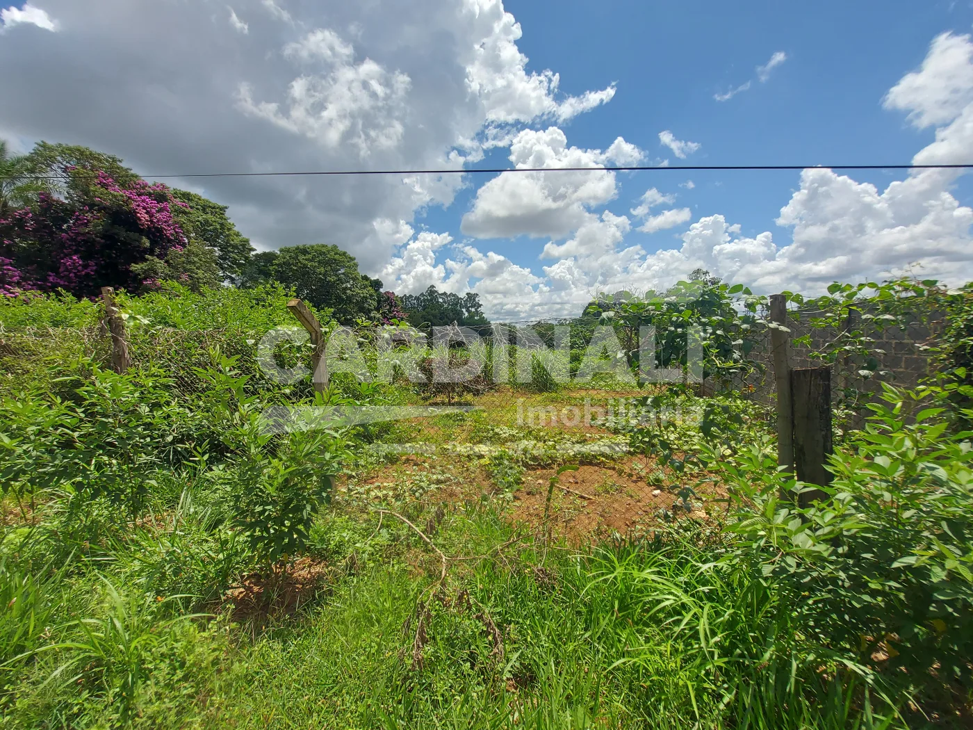 Comprar Terreno / &Aacute;rea em Araraquara R$ 425.000,00 - Foto 3