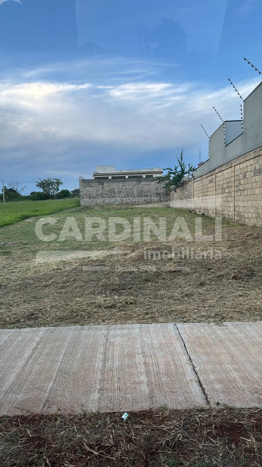 Comprar Terreno / Padr&atilde;o em Araraquara R$ 206.000,00 - Foto 4