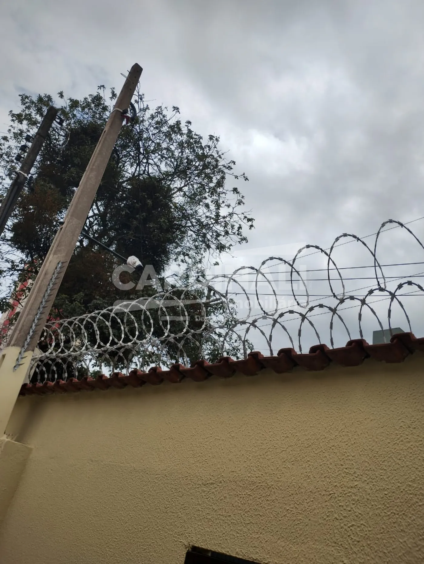 Casa / Padr&atilde;o em S&atilde;o Carlos 