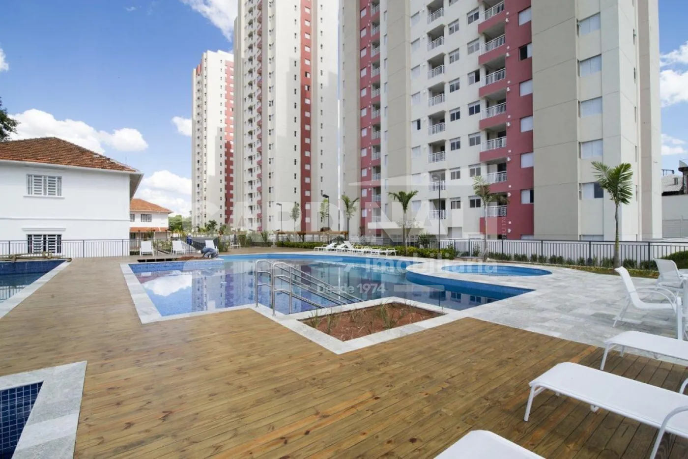 Apartamento / Padr&atilde;o em Campinas 