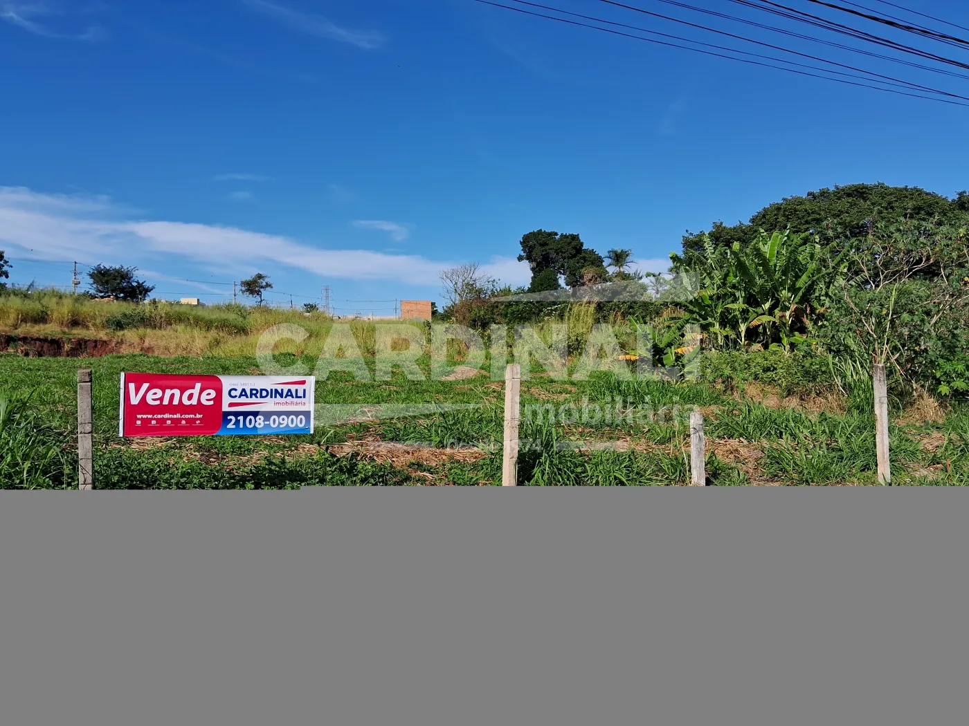 Comprar Terreno / &Aacute;rea em Araraquara R$ 520.000,00 - Foto 1