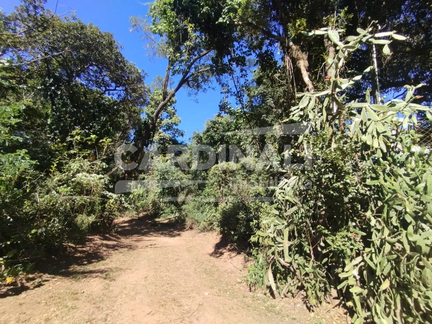 Rural / Terreno com condom&iacute;nio em S&atilde;o Carlos , Comprar por R$550.000,00